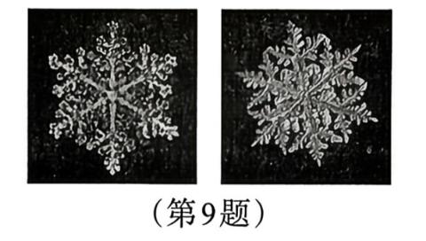 <p>雪花被人们称为“冬之精灵”。科学研究发现，世界上没有两片雪花的形状是完全相同的。下列有关说法正确的是（    ）。</p>
