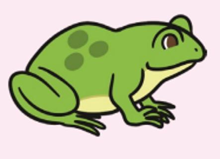 <p>What animal is it?</p>