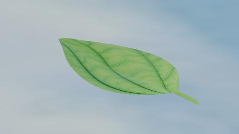 <p>06</p>
