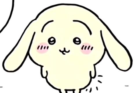 Spanish Vocabulary Quiz