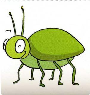 <p>A worm is a kind of ________.</p>
