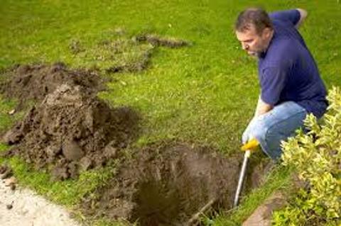 <p>What&#39;s he doing?</p>