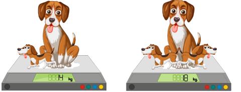 <p>两只小狗体重相同。图1的大狗和一只小狗的总体重是12kg。图2的大狗和两只小狗的总体重是18kg。大狗的体重是多少？</p>