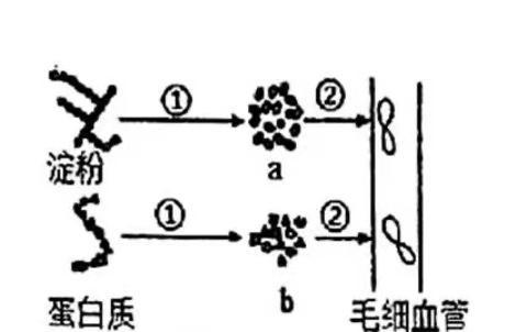 <p>下列说法正确的是&#xff1f;</p>