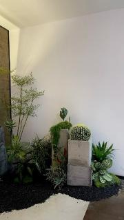 <p>图片中主要植物材料品种是什么？</p>