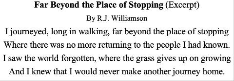 <p><strong>Q5. </strong>Consider the following poem below. Is the poem an example of <i>character vs. society</i>?</p>