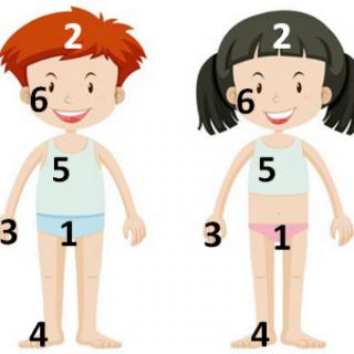 <span>小朋友们，图中哪些是身体的隐私部位呢?</span>