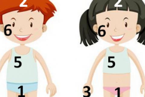 小朋友们，图中哪些是身体的隐私部位呢?