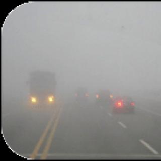 What's the weather like?
