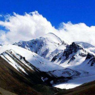 西藏自治区的英文简称是什么？