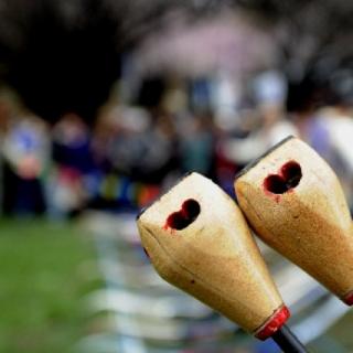 图中呈现的是什么？