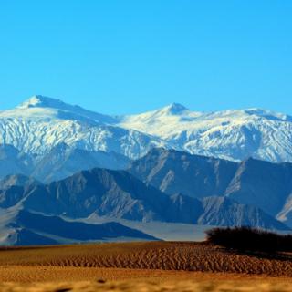 以下对青藏高原描述错误的是哪一项？