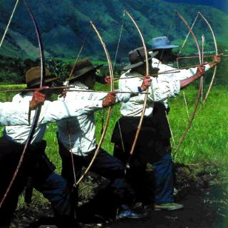 西藏的门巴族和珞巴族主要生活在哪里？