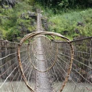 过去，建造并使用藤网桥渡过雅鲁藏布江的西藏民族是哪一个？