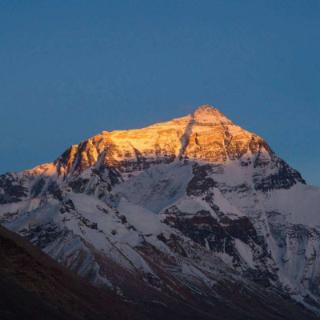 珠穆朗玛峰的高度是多少？