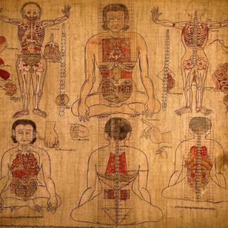 以下关于藏医的叙述，错误的一项是？