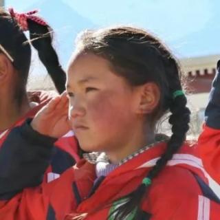 以下对西藏教育发展描述错误的是哪一项？