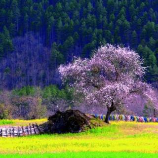 “两路精神”中的“两路”是指？