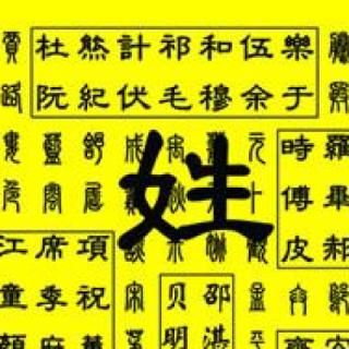 apellidar的yo的变位？