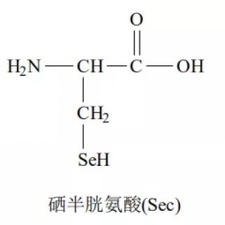 组成人体蛋白质的氨基酸只有21种，第21种是硒半胱氨酸，请找出硒半胱氨酸的R基。
