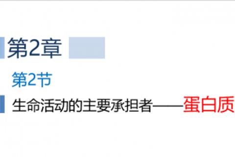 生命活动的承担者——蛋白质