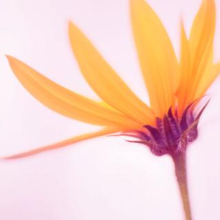 <span>信息认证的内容不包括（　　）。</span>