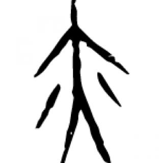 猜一猜：观察汉字“亦”的甲骨文，下面哪一个是“亦”的本义？