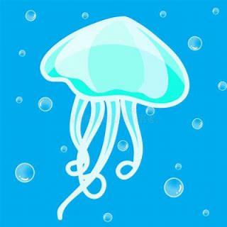 水母&nbsp;