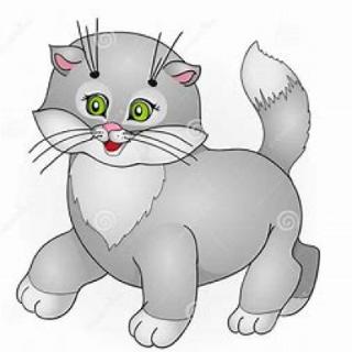 小猫
