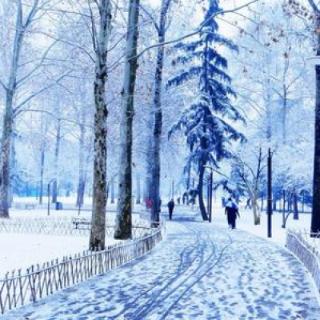 下雪的