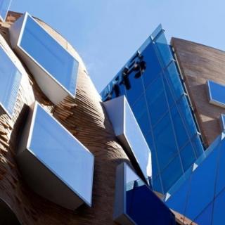 <p>悉尼科技大学哪些领域在US news 排名中全球前10</p>