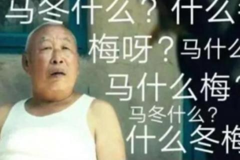 猜一猜