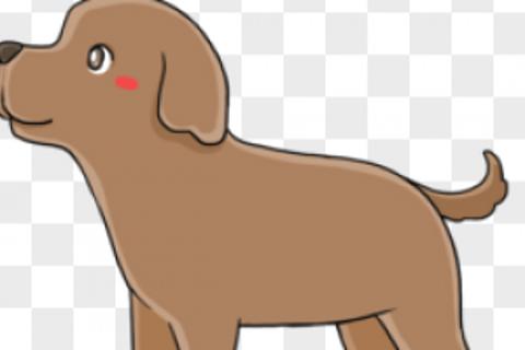 图文排版单元小测试