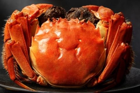 卡券及京麦培训