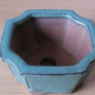 9.此盆景“盆”，按质地分，为（&nbsp; &nbsp;）