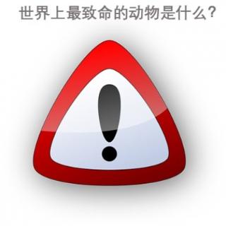 世界上最致命的动物是什么？