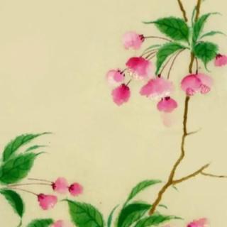 <span>14.&nbsp;<span>下列默写完全正确的一项是</span></span>