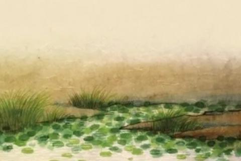 期中语文终极豆豆