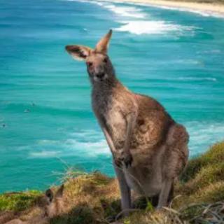 He is from Australia.