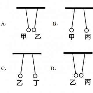 <span>四个轻小物体，甲乙带正电，丙带负电，丁不带电，下图中它们之间的作用情况正确的是（　　）</span>