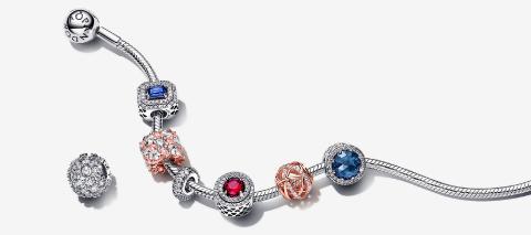 <p>Pandora&nbsp;产品系列中销售额占比最高的是？</p>