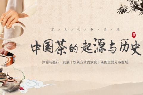 初识茶文化1：茶叶发展的历程