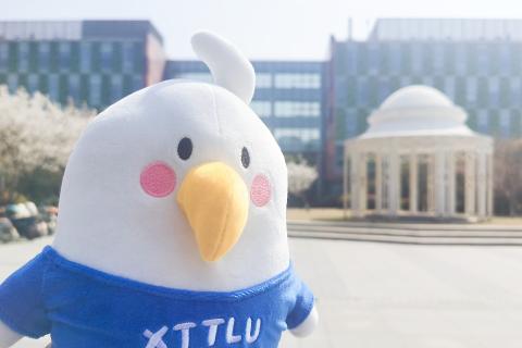 问答FM