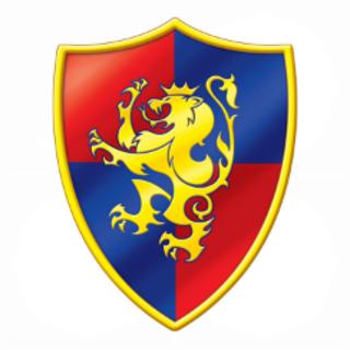 <p>The knight protects himself with a ________ .</p>