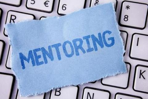 Mentoring knowledge refresh