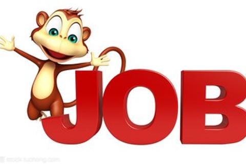 unit 6 How much do you know about jobs? 职业大挑战