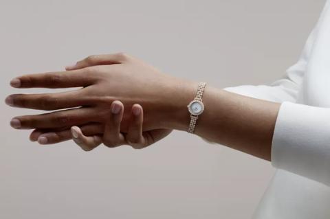 <p>Which PEX watch family accounts for the highest sales volume in 2023?</p>