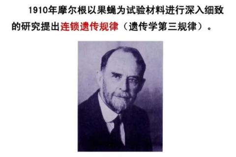 22级园艺本