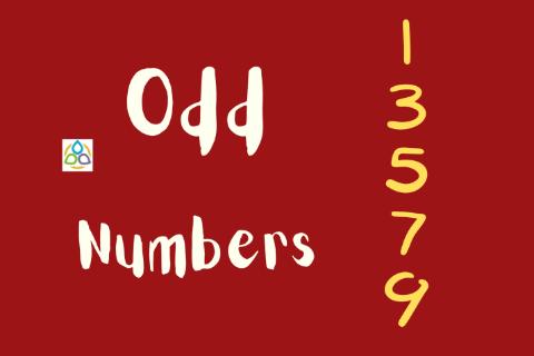 <p>The presence of the letter a is a common characteristic of all odd numbers.</p>