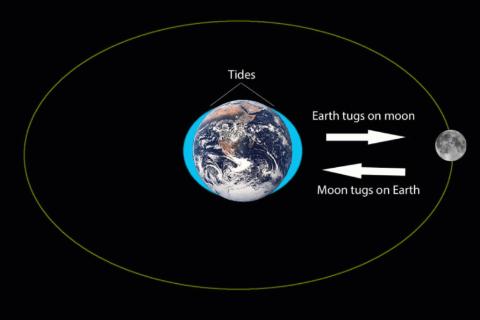 <p>which phenomenon is illustrated in the picture? (TWO words)</p>